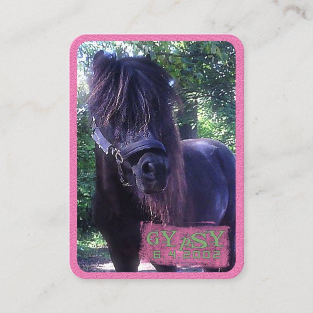 Gypsy - Business Card (Front)