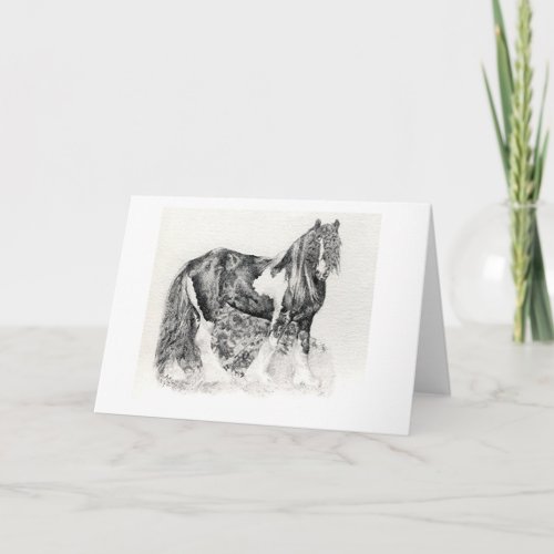 Gypsy Cob Horse Portrait Blank Greeting Card