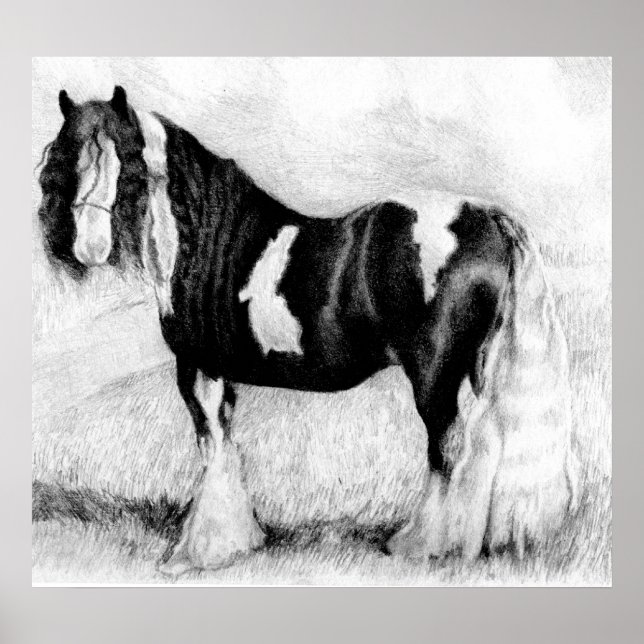 Gypsy Cob Horse Portrait Poster (Front)