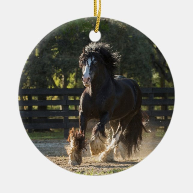 Gypsy Gold Gypsy Vanner Ornament (Front)