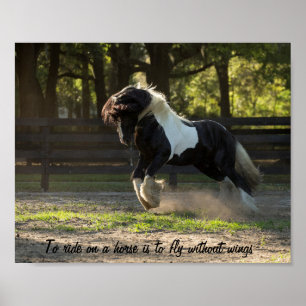 Gypsy Gold Gypsy Vanner takes flight Poster