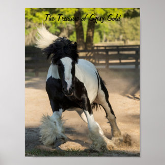 Gypsy Gold Gypsy Vanner Treasure poster