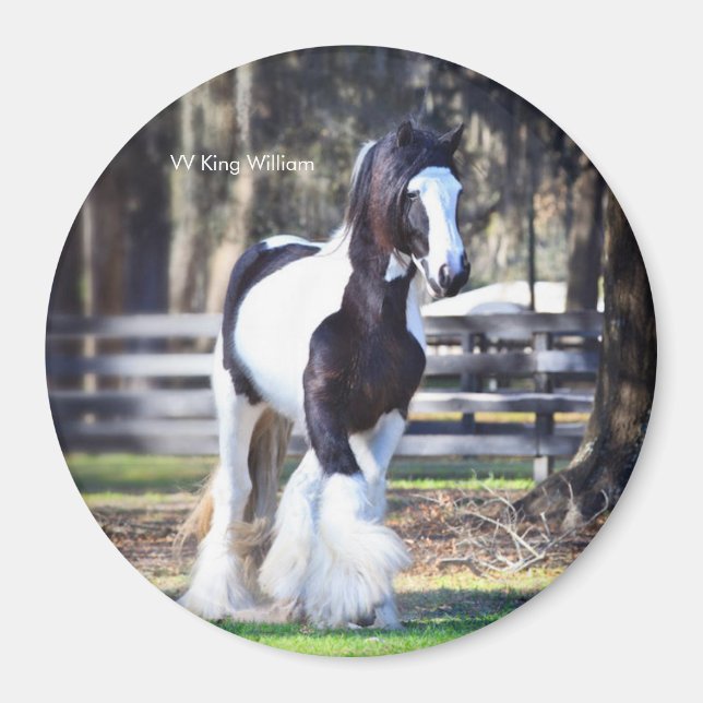 Gypsy Gold King William magnet (Front)