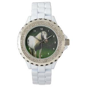Gypsy horse photo watch