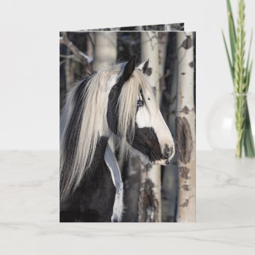 Gypsy in the Forest _ Holiday Horse Greeting Card