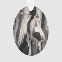 Gypsy in the Forest Wild Hoofbeats Ornament