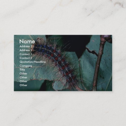 Gypsy moth business card