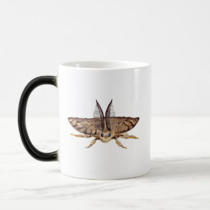 Gypsy moth, Lymantria dispar dispar Zoological Color Morph Mug