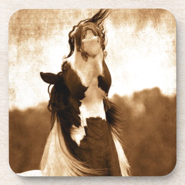 Gypsy Vanner Beverage Coaster (Front)