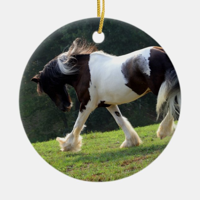 Gypsy Vanner Ceramic Ornament (Front)