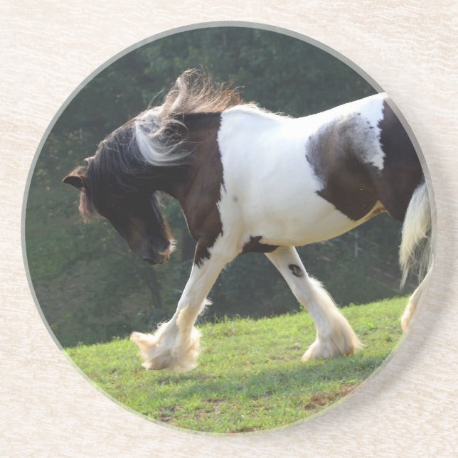Gypsy Vanner Drink Coaster (Front)
