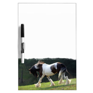 Gypsy Vanner Dry Erase Board