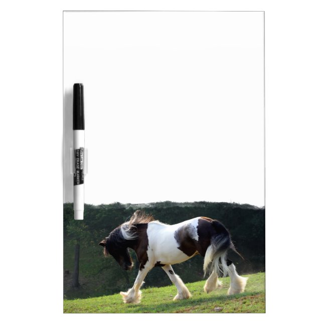 Gypsy Vanner Dry Erase Board (Front)