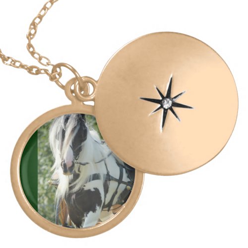 Gypsy Vanner Gold Plated Necklace