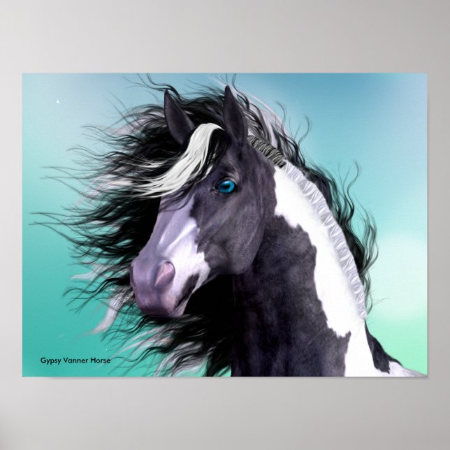 Gypsy Vanner Horse 16 x 12 Poster (Front)