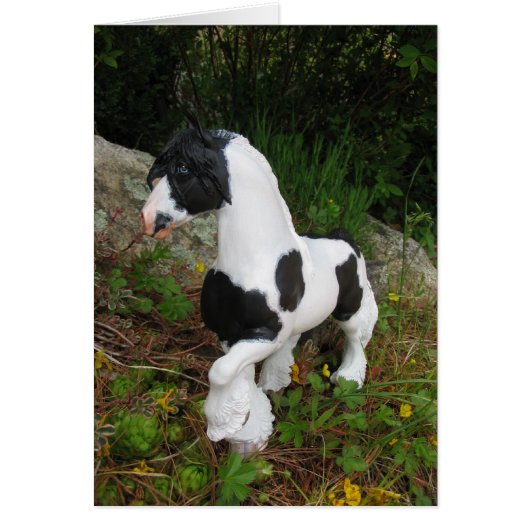 Gypsy Vanner Horse Cards (Front)