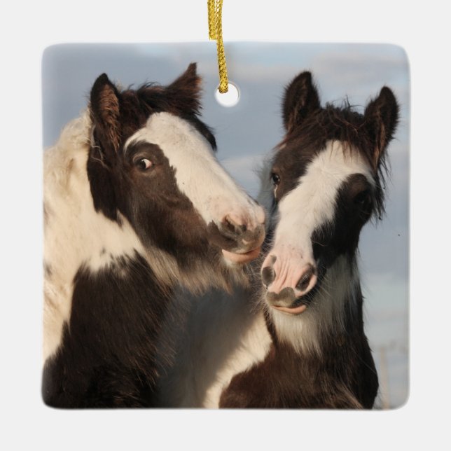 Gypsy Vanner Horse Friends Ceramic Ornament (Front)