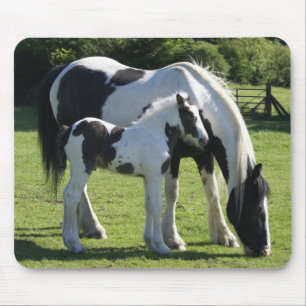 Gypsy Vanner Horse Mare and Foal Mouse Pad