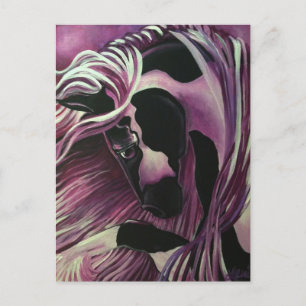 GYPSY VANNER HORSE POSTCARD