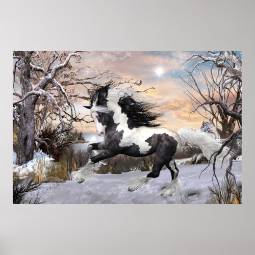 Gypsy Vanner Horse Poster