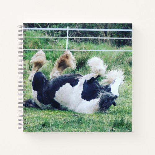 Gypsy vanner horse rolling in the grass notebook
