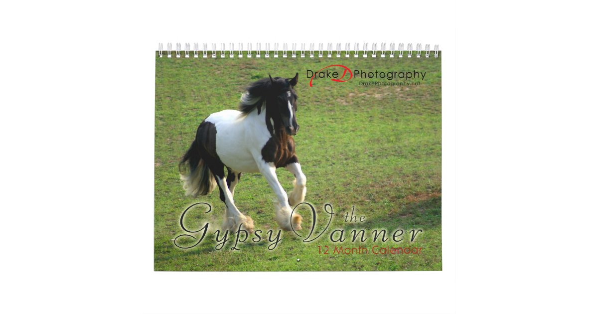 Gypsy Vanner Horses Calendar Zazzle