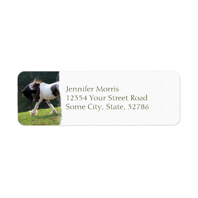Gypsy Vanner Label (Front)