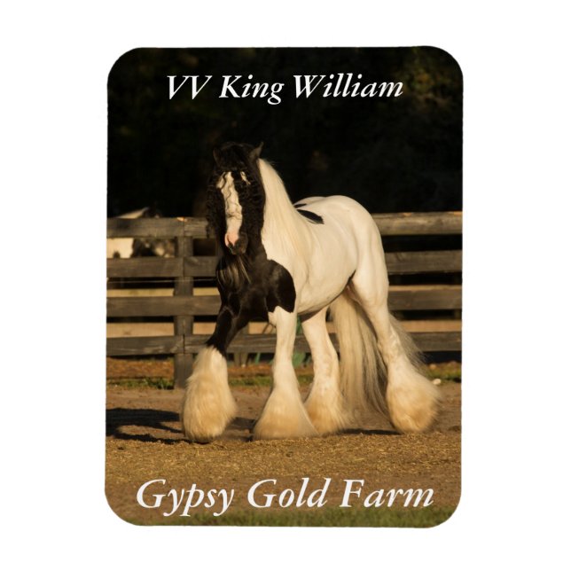 Gypsy Vanner Magnet (Vertical)