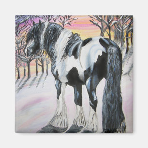 gypsy vanner magnet