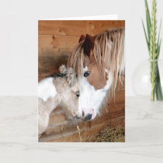 Gypsy Vanner Mare and Foal Mother's Day Card