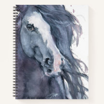 Gypsy Vanner