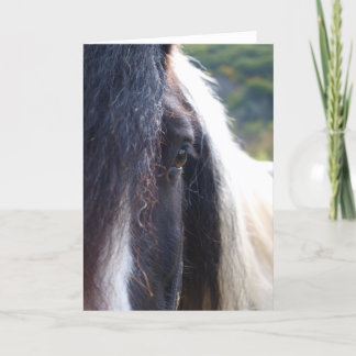 Gypsy Vanner Notecard