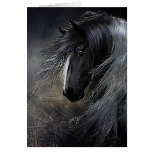 Gypsy Vanner Portrait Cards (Front)