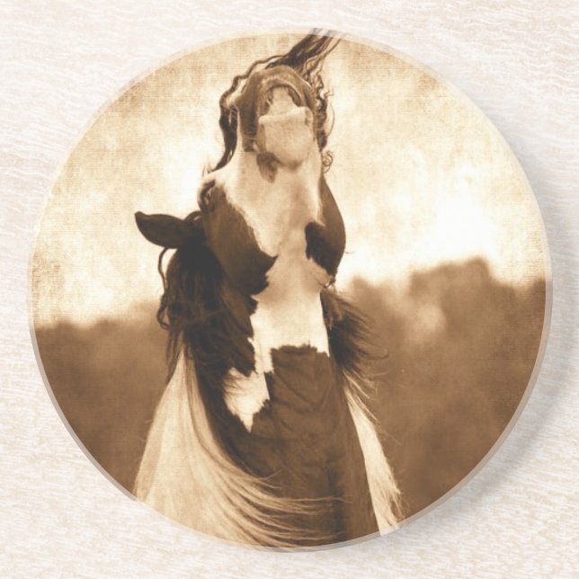 Gypsy Vanner Sandstone Coaster (Front)