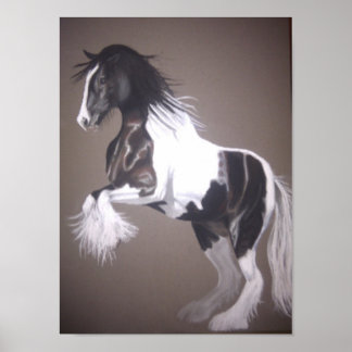 Gypsy vanner stallion poster