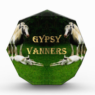 Gypsy Vanners Acrylic Award