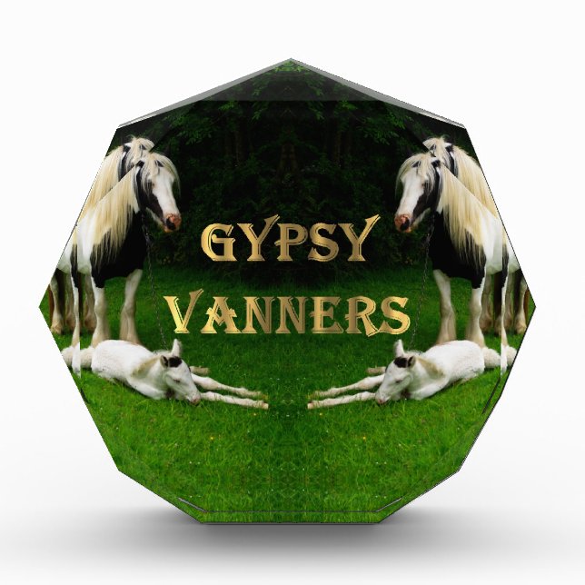 Gypsy Vanners Acrylic Award (Front)