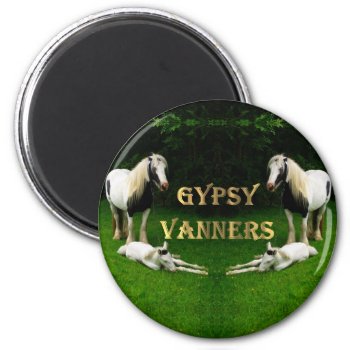 Gypsy Vanners Magnet by customizedgifts at Zazzle