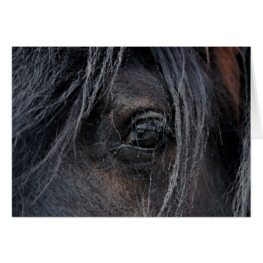 Gypsy Vision II (Front Horizontal)