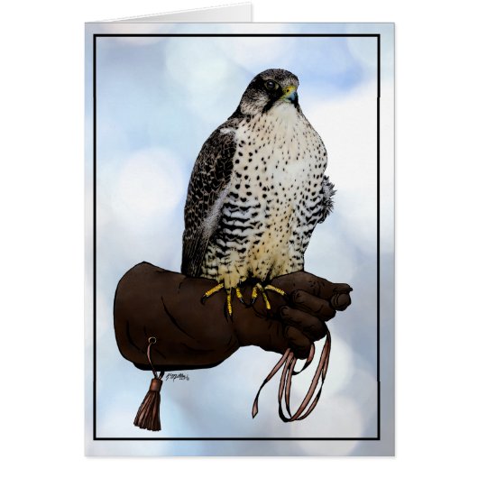 Gyrfalcon on Glove Cards (Front)