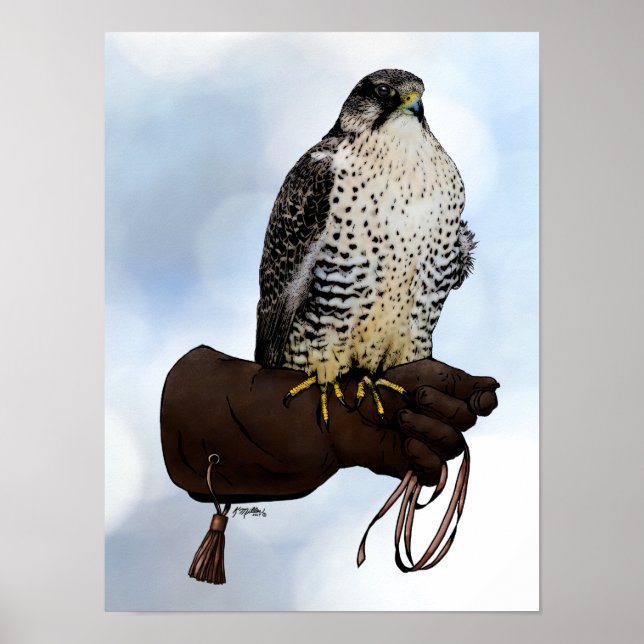 Gyrfalcon on Glove Poster (Front)