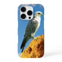 Gyrfalcon perched on a rock phone case