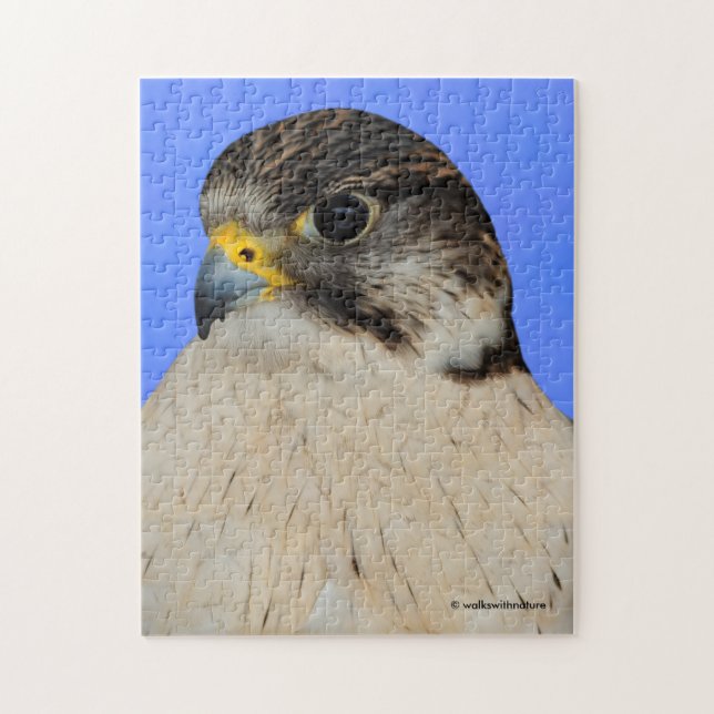 Gyrfalcon Saker Hybrid Falcon Jigsaw Puzzle (Vertical)