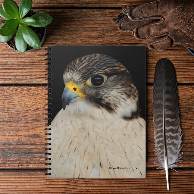 Gyrfalcon Saker Hybrid Falcon Notebook (Gyrfalcon Saker Falcon Hybrid Journal Cover Photo)