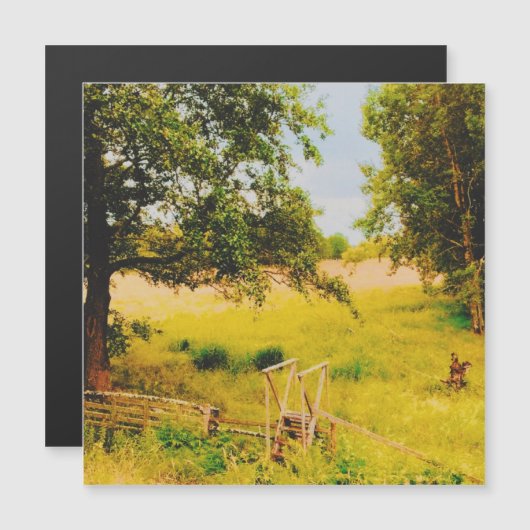 Gysinge Summer Field (Front/Back)