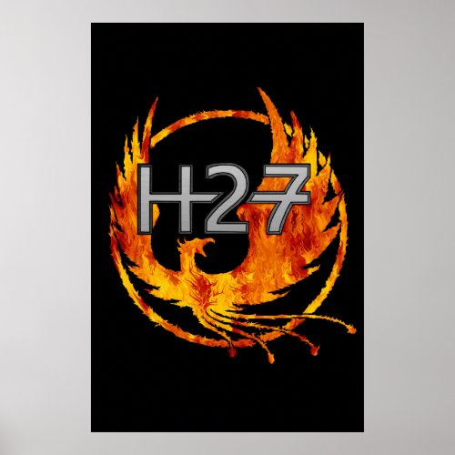 H27 Poster