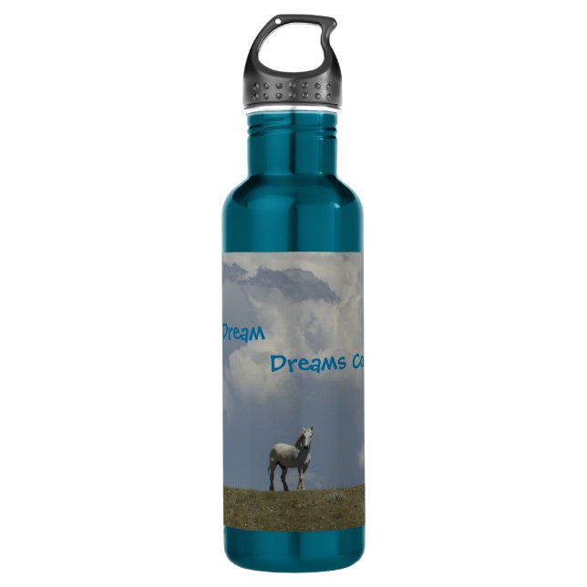 H2o Bottle -Dreams come True (Front)
