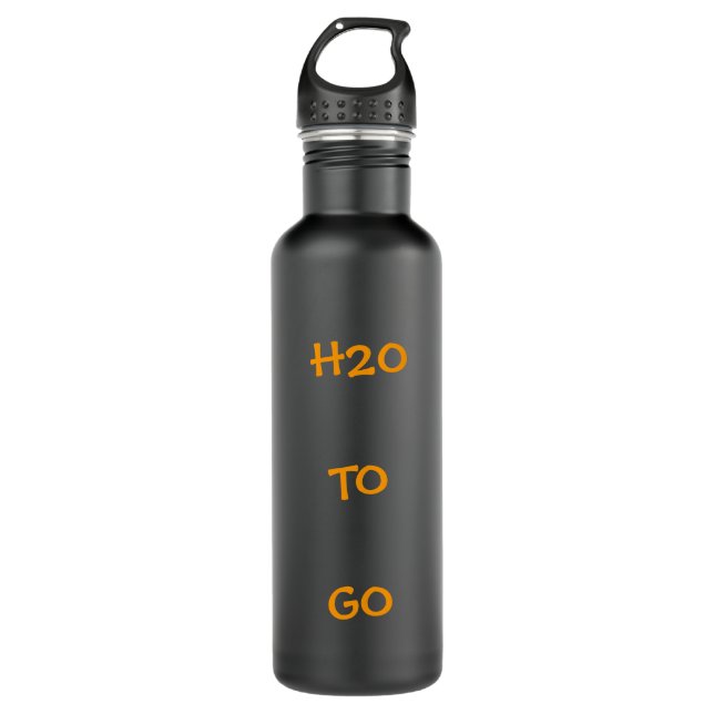 H2O TO GO STAINLESS STEEL WATER BOTTLE (Front)
