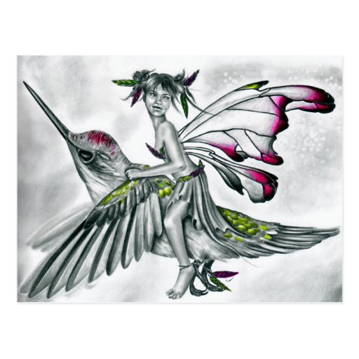 Hummingbird Rider Fairy Postcard Postcard | Zazzle