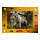 h-218-zabu (Front Horizontal)